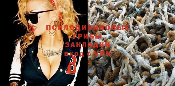 тгк Магадан